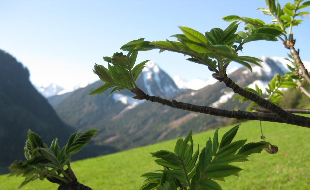 Pension Steiermark Schladming Zewnętrze zdjęcie